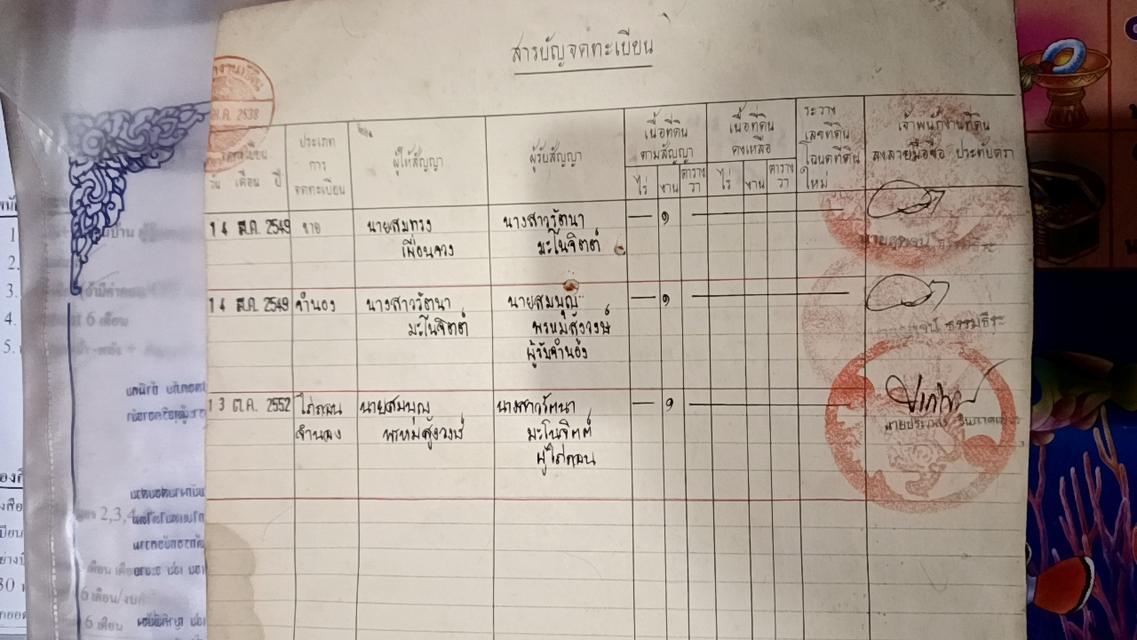 ที่ดินเปล่าคลองสาม คลองหลวง100ตรว. 2