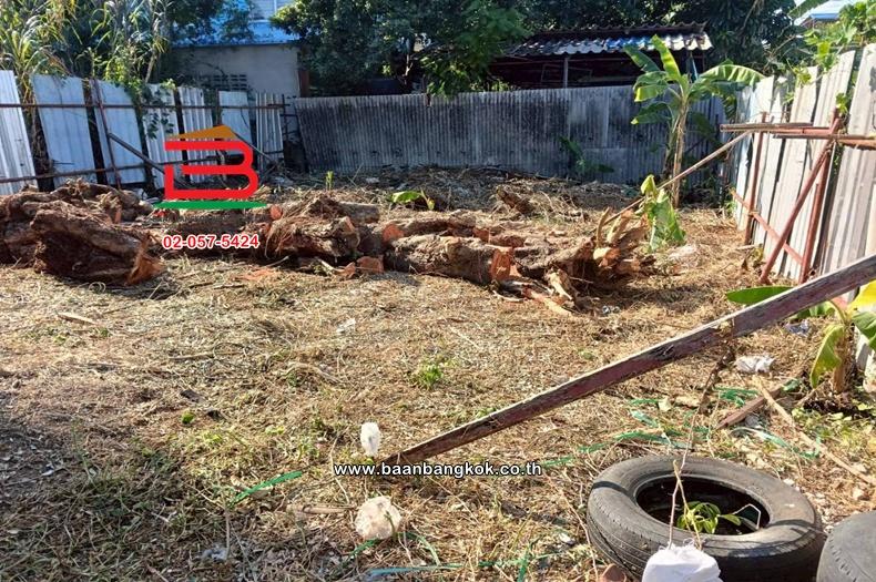 ที่ดินเปล่า เนื้อที่ 30 ตร.ว. ชุมชนเปรมฤทัย (เฉลิมพระเกียรติร.9 ซอย 14 แยก 30), ใกล้วัดตะกล่ำ ถนนศรีนครินทร์ แขวงหนองบอน เขตประเวศ