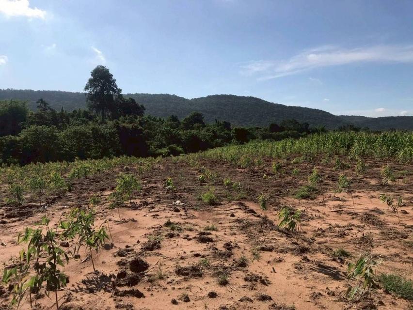 ที่ดินเปล่า จ.ลพบุรี อ.ลำสนธิ 13