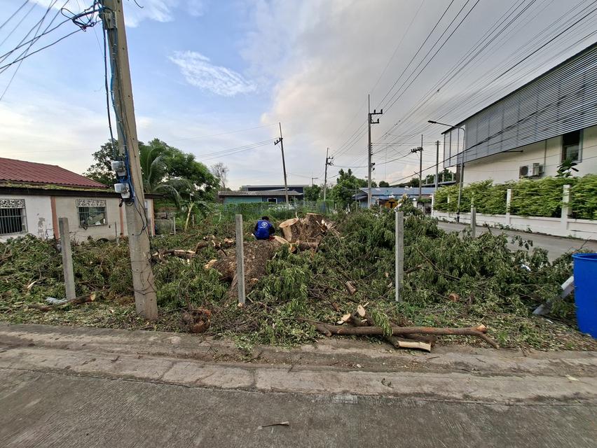 ขายที่ดินเปล่า เนื้อที่ 84 ตรว. 2