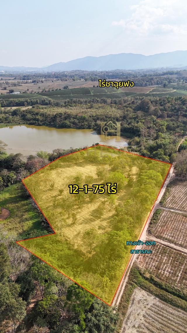 ประกาศขายที่ดิน ทำเลศักยภาพ ใกล้ไร่ชาฉุยฟง ตำบลศรีค้ำ อำเภอแม่จัน จังหวัดเชียงราย 57110 4
