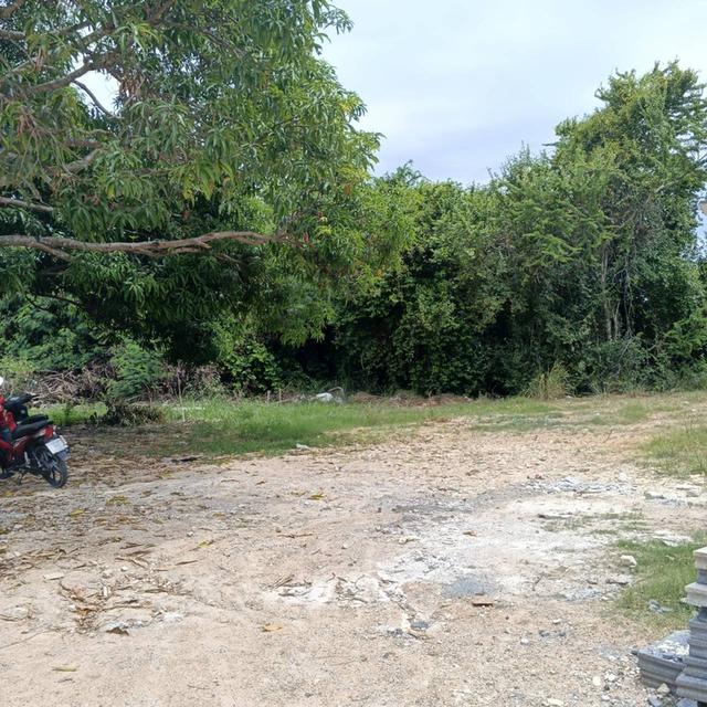 ขายที่ดินพัทยา ต.ห้วยใหญ่ (โดยเจ้าของที่ดิน) 7