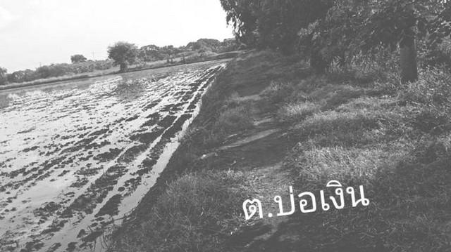 ทรัพย์คุ้มค่าหน้าฝนอยู่เย็นสุขสบาย ที่ดิน ลาดหลุมแก้ว บ่อเงินปุทม ใ5ไร่ อำเภอลาดหลุมแก้ว ปทุมธานี ลาดหลุมแก้วไร่ละ 1ลบ. 