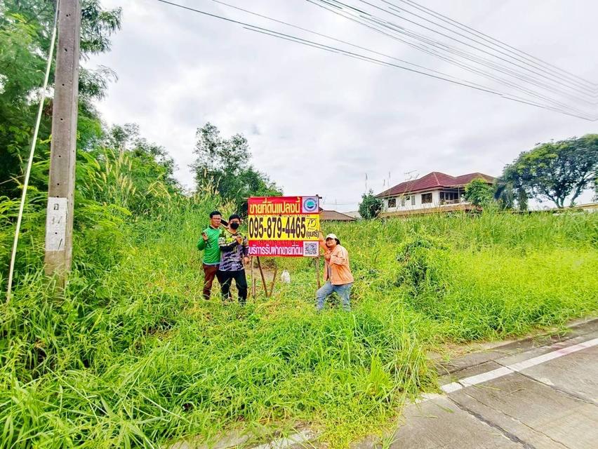 ที่ดิน 1