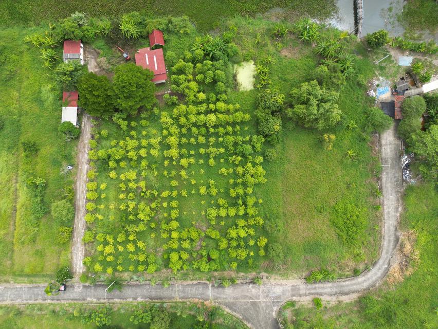 ที่ดินหนองจอก ติดคลองธรรมชาติ เนื้อที่ 2 ไร่ 6