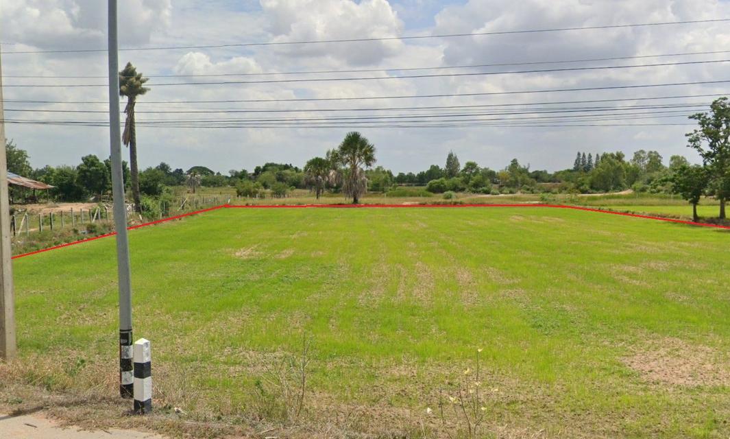 ที่ดินด่านขุนทด ติดถนน นม.3012 เจ้าของขายเอง 3