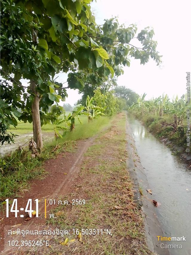ต้องการขายที่ดิน4ไร่ 7