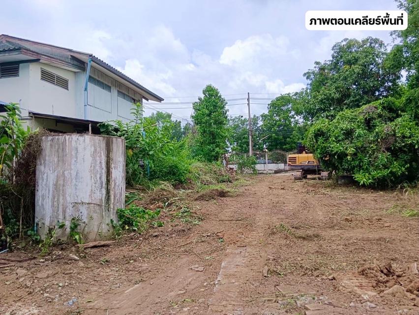 ที่ดินในจังหวัดพิษณุโลก 17