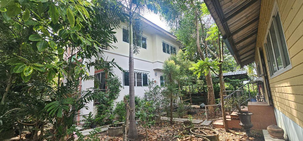 ขาย บ้านเดี่ยว 2หลัง บรรยากาศสวนเกษตรสวนหลวง 320 ตรม. 160 ตร.วา กระทุ่มแบน ติดถนนพุทธสาคร 2