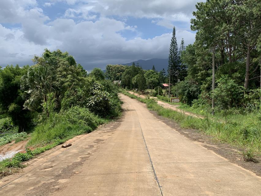 ที่ดินสวย ทำเลดี ราคาคุ้ม ยินดีให้คำแนะนำปรึกษาค่ะ 5