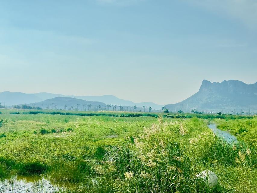 ขายต่ำกว่าราคาประเมิน ที่ดิน วิวภูเขา ใกล้หาดชะอำ เนื้อทึ่ 16-1-84 ไร่ ถนนเพชรเกษม ตำบลชะอำ อำเภอชะอำ จังหวัดเพชรบบุรี 11