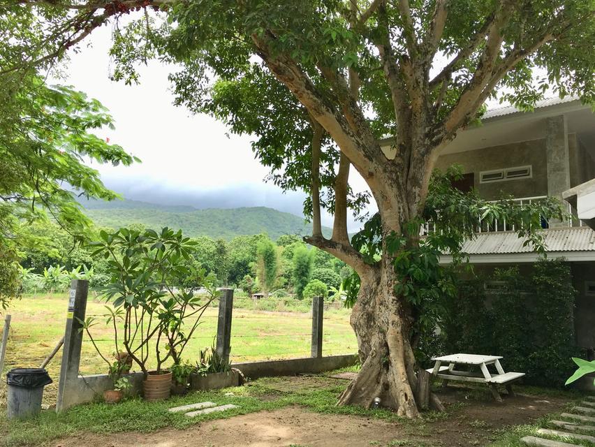 บ้านเชียงใหม่ ใกล้มช. วิวเขา 2