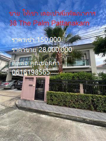 PDJ06 ขาย ให้เช่า บ้านเดี่ยว 2 ชั้น 81 ตร.วา เดอะปาล์มพัฒนาการ 38 The Palm Pattanakarn 6