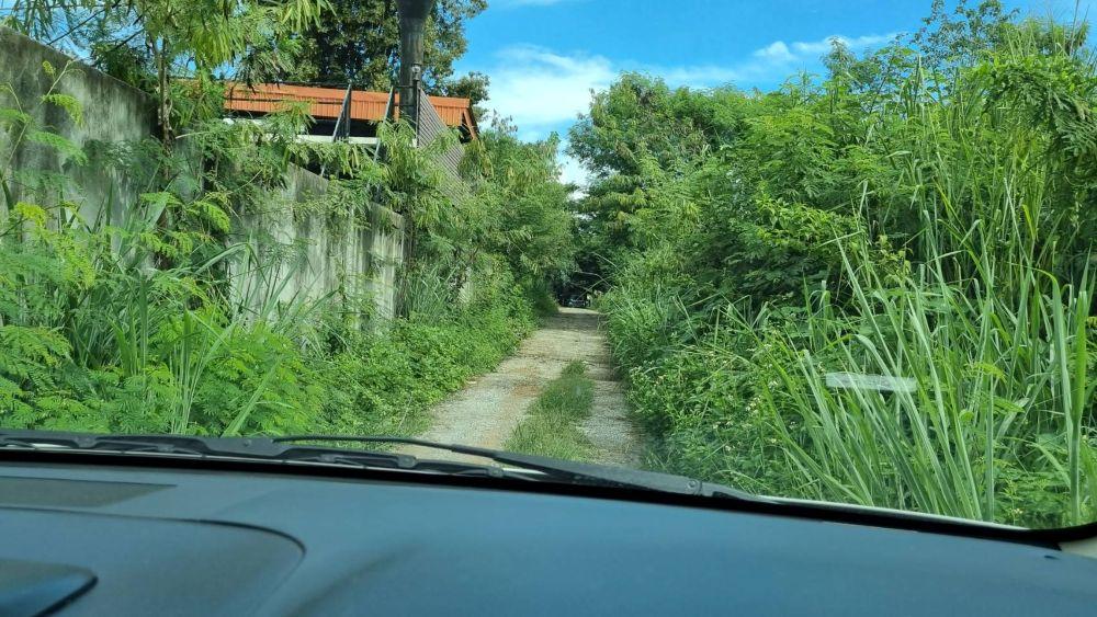 ขายที่ดินเปล่า ทำเลดี เดินทางสะดวก มีไฟเข้าถึง ต.ปากช่อง อ.ปากช่อง จ.นครราชสีมา 8