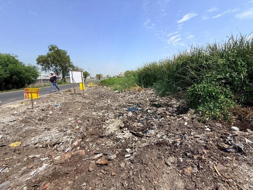 ขายด่วนที่ดิน 286 ตารางวา ติดถนนเลียบมอเตอร์เวย์ ต.คลองสี่ อ.คลองหลวง จ.ปทุมธานี 2