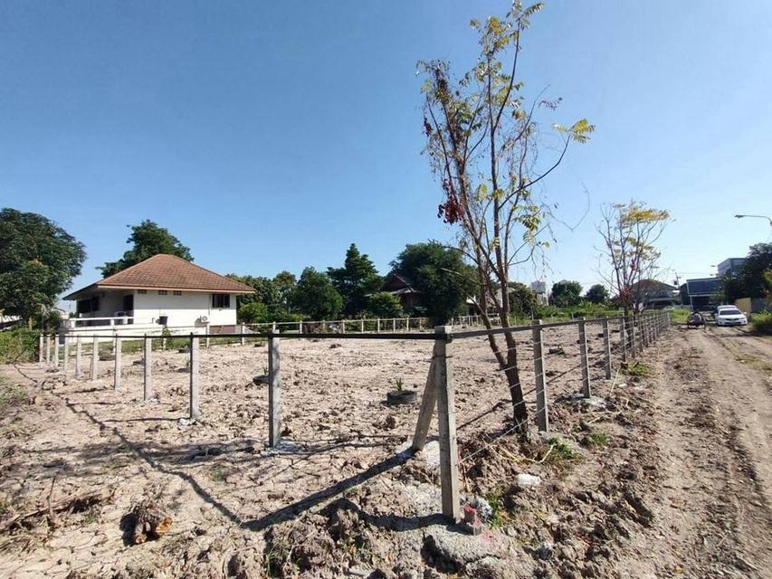 ขายที่ดินติวานนท์34 ปากเกร็ด นนทบุรี 300 ตรว แปลงสวย ติวานนท์-ปากเกร็ด 9