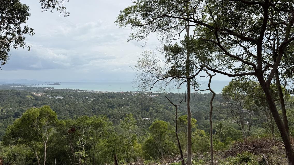 Prime Sunset & Sea View Land for Sale in Koh Samui – A Rare Investment Opportunity! 13
