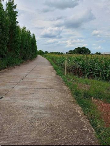 ขาย ที่ดินในนิคมโรจนะ ปราจีนบุรี 23-0-76 ไร่ โครงการ นิคมโรจนะ ปราจีนบุรี ตำบลหัวหว้า ศรีมหาโพธิ,ปราจีนบุรี 6