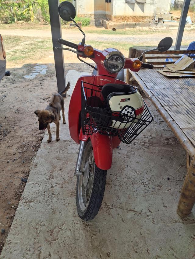 ขาย Super cup 110i ปี2021 เจ้าของขายเองค่ะ เดิมๆ ไม่เคยแกะ ไม่เคยเฉี่ยวชน เล่มทะเบียนครบโอน  ✔️ รูปที่ 2