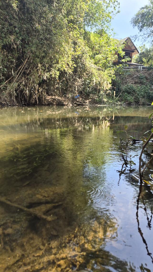 บ้านพร้อมที่ดิน ติดลำตะคลอง ในตัว อ.ปากช่อง 8