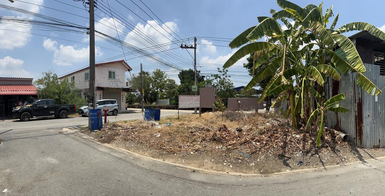 🏞️ขายที่ดิน 28.5 ตรว. บางหลวง ปทุมธานี พร้อมปลูก โฉนดครุฑแดง + น้ำ ไฟ เข้าถึง มีถนนตัดผ่าน 6