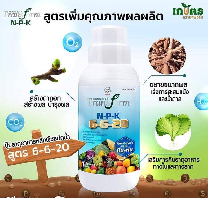 ปุ๋ย transform n p k สูตร 6 6 20