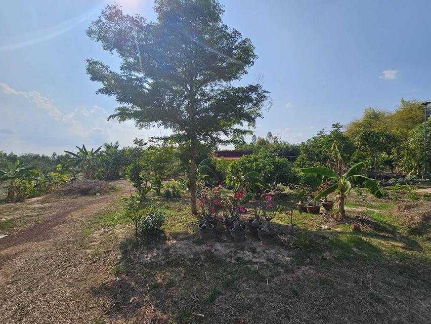 อาคารพาณิชย์ พร้อมที่ดิน 3