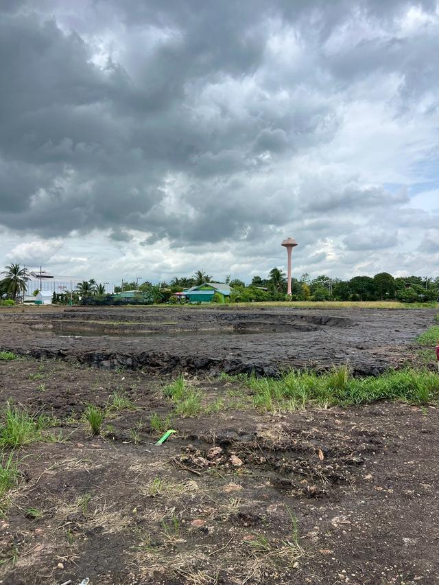 ที่ดินผ่อนสบาย ทำบ้านสวนหรือเกษตรก็เหมาะ ทำเลคลอง 11 อำเภอหนองเสือ จังหวัดปทุมธานี 8