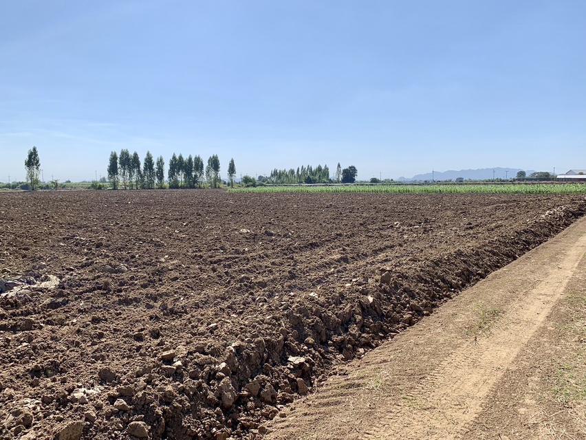 ขายที่ดินสวย2แปลง เนื้อที่รวม26ไร่เศษ ใกล้มอเตอร์เวย์ สภาพแวดล้อมดี เหมาะลงทุน,จัดสรร,ทำเกษตรหรืออื่นๆ คมนาคมสะดวก 13