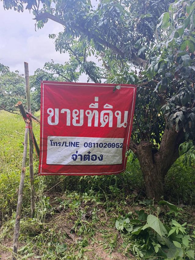 ที่ดินเปล่า และพร้อมสิ่งก่อสร้าง 6