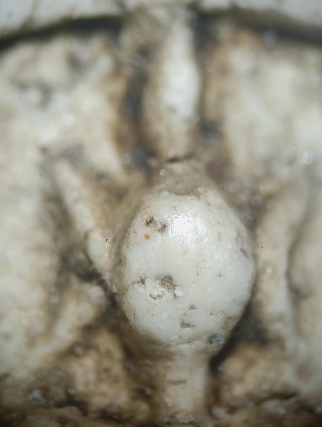 พระสมเด็จเกศไชโย 9 ชั้น 13