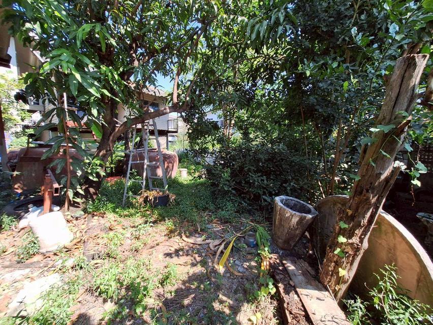 ที่ดินพร้อมสิ่งปลูกสร้าง ซอยไสวประชาราษฎร์ 33 (ร่วมสุข8) ลำลูกกาคลอง 4 ถนนลำลูกกา ต.ลาดสวาย อ.ลำลูกกา จ.ปทุมธานี 7