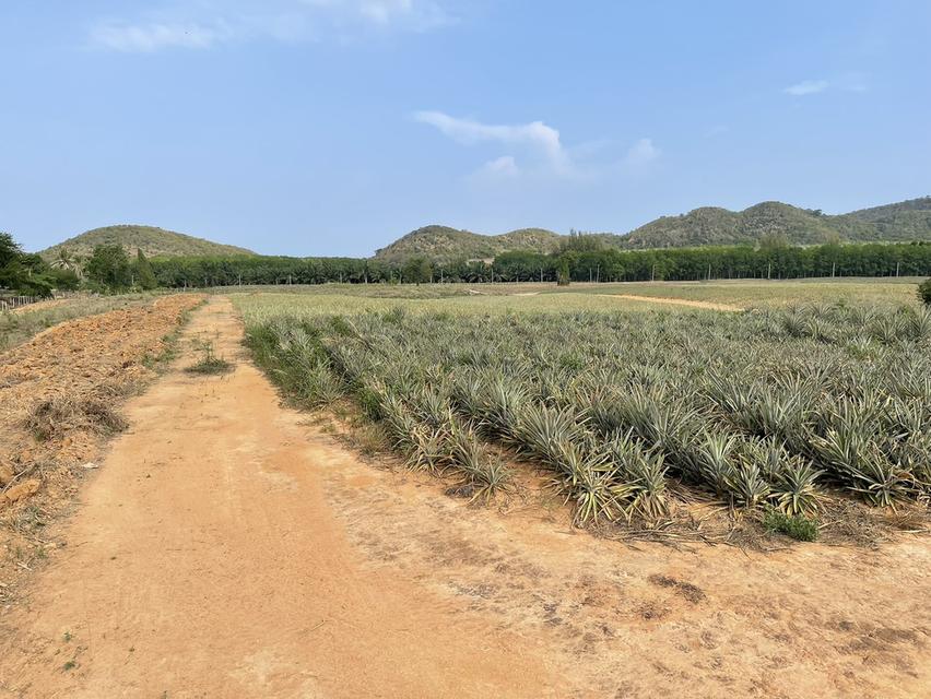 ขายที่ดิน ประจวบคีรีขันธ์ 4