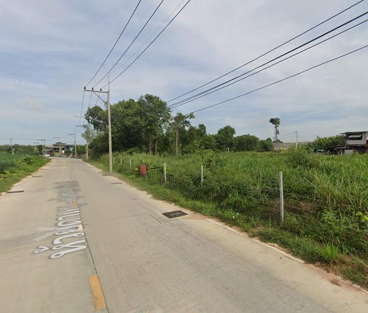 ขายที่ดินพัทยาหนองปรือ 1 ไร่ ติดถนน2ด้านซอยหนองไม้แก่น17 อ.บางละมุง ชลบุรี