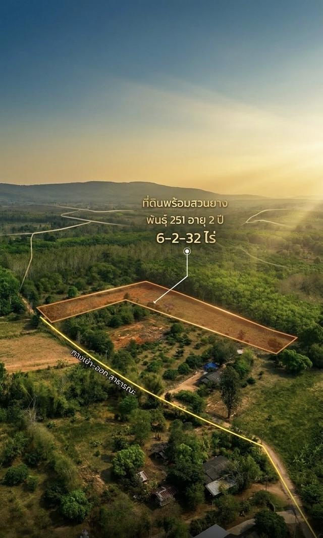 ขายที่ดินสวนยางพารา อำเภอพาน จังหวัดเชียงราย พร้อมทำประโยชน์ต่อได้ทันที 12