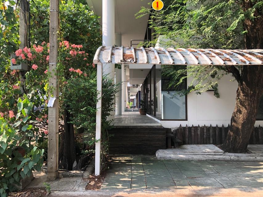 [ราคาพิเศษ] ขายตึก โฮมออฟฟิศ 4 ชั้น ติดMRTศรีนุช สายสีเหลือง ถนนสุขุมวิท 77 อ่อนนุช 62 แยกศรีนครินทร์–อ่อนนุช 13