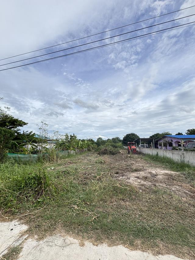 ขายที่ดิน ต.บ้านบึง อ.บ้านบึง จ.ชลบุรี