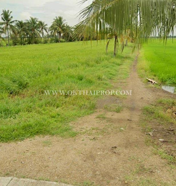 ที่ดินถมแล้ว คลอง 23 ใกล้อบต.ศีรษะกระบือ ถ.รังสิต-นครนายก องครักษ์ นครนายก 3