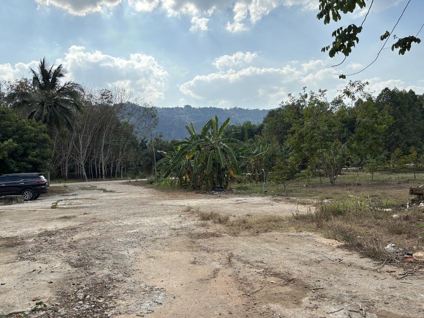 ที่ดินพร้อมบ้าน อ ไทรโยค กาญจนบุรี พร้อมต้นทุเรียน วิวภูเขา 6