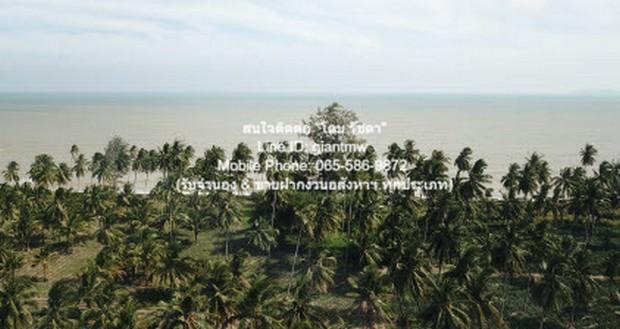 ที่ดิน ให้เช่าระยะยาวที่ดินแปลงใหญ่ 100 ไร่ ติดทะเลบางสะพาน (ตรงข้ามเกาะทะลุ) ราคา 1,500,000 บาท/เดือน พื้นที่เท่ากับ 10