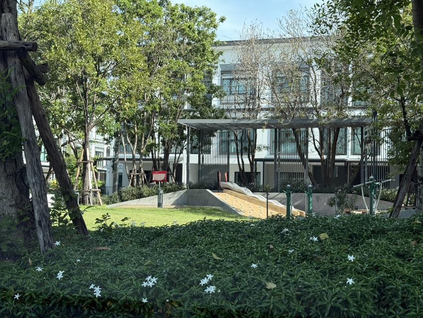 ขายบ้าน ลุมพินี ทาวน์เพลส สุขุมวิท – ศรีนครินทร์ 