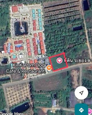 ขายที่ดินถมแล้ว ระยอง แกลง ใกล้ทะเลหาดแม่พิมพ์ 8 นาที ขนาด 460 ตรว. (รวม1ไร่60วา) เหมาะทำรีสอร์ต บ้านพัก บ้านจัดสรร ร้านอาหาร 10