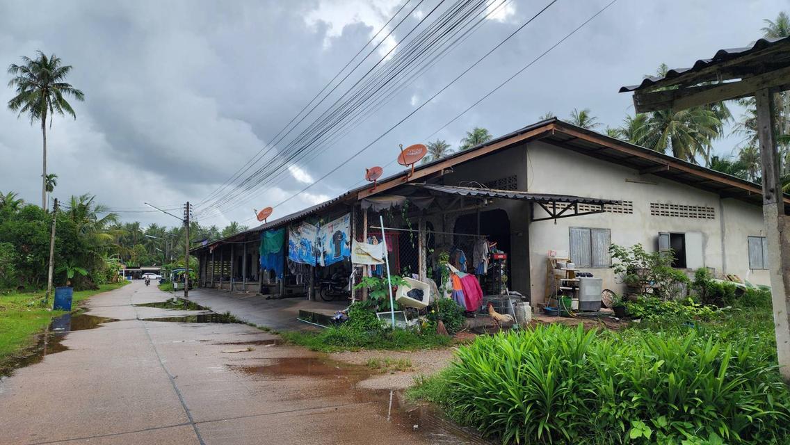 ประกาศขายห้องเช่าจำนวน 10 ห้อง ต.ท่ายาง อ.เมือง จ.ชุมพร 5