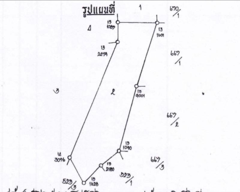 ที่ดินพร้อมบ้านพร้อมสวนผลไม้