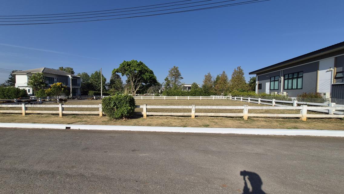 ที่ดินโครงการจัดสรร ต.ปากช่อง อ.ปากช่อง เนื้อที่ 151-343 ตรว. ว่าง 17 แปลง 5