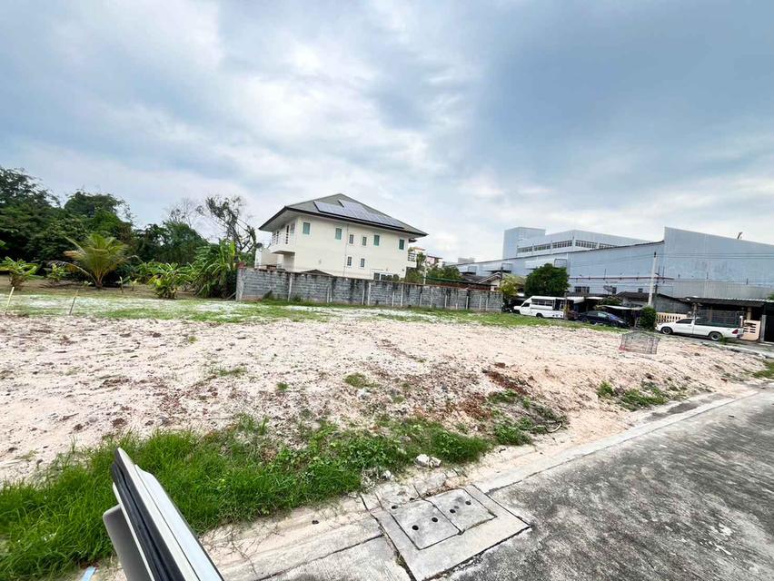 ขายที่ดินจัดสรรเสม็ดซอยจูกลิ่นเนื้อที่ 20 ตรว. ล็อคละ500,000฿ใกล้แยกอ่างศิลา700เมตร เมืองชลบุรี 3