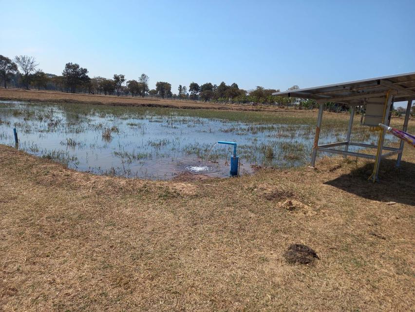 ที่ดินในจังหวัดบุรีรัมย์ 3