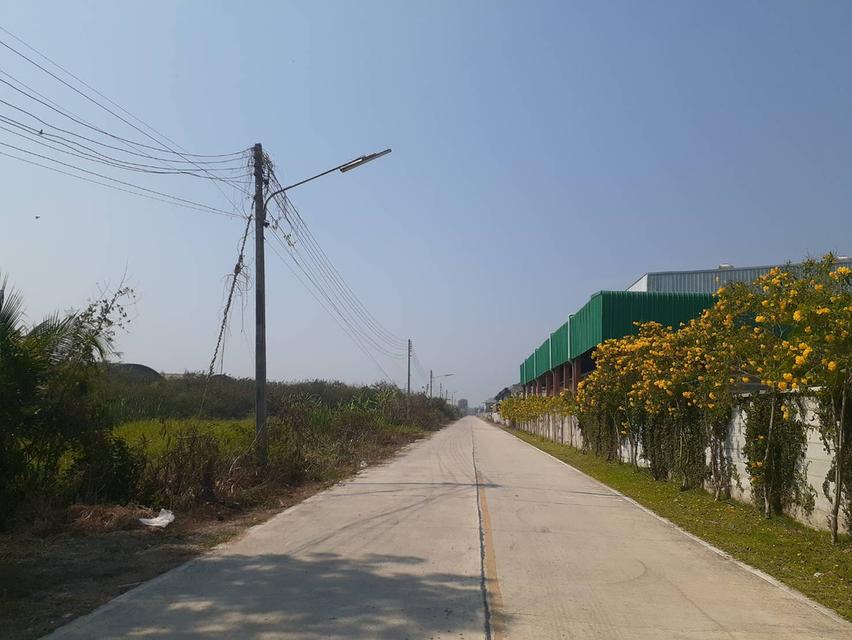 ที่ดินติดถนน2ด้านแบ่งขายอยู่ห่างอนามัยคลองโยง2 พุทธมณฑล 10