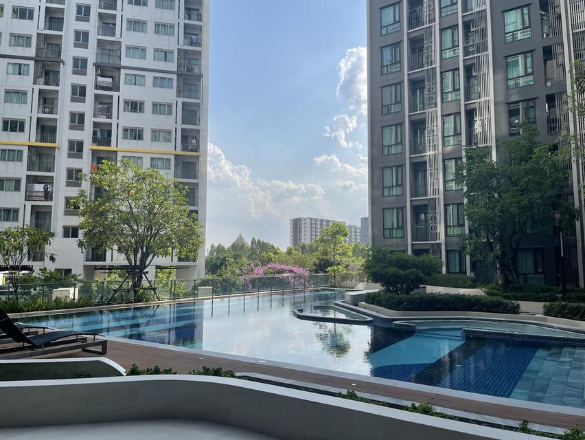 เจ้าของห้องปล่อยเอง เช่าและขาย ห้อง Duplex ใกล้ BTS 2 สาย  Knightsbridge พหลโยธิน อินเตอร์เชนจ์ 16