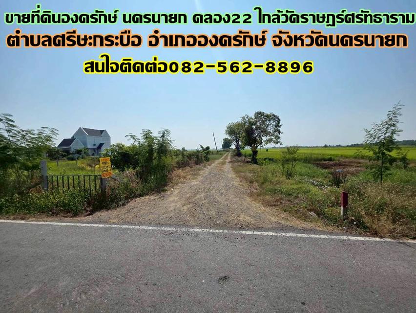 ขายที่ดินองครักษ์ นครนายก คลอง22 ใกล้วัดราษฎร์ศรัทธาราม 1